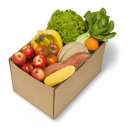 Fruit Packaging Boxes